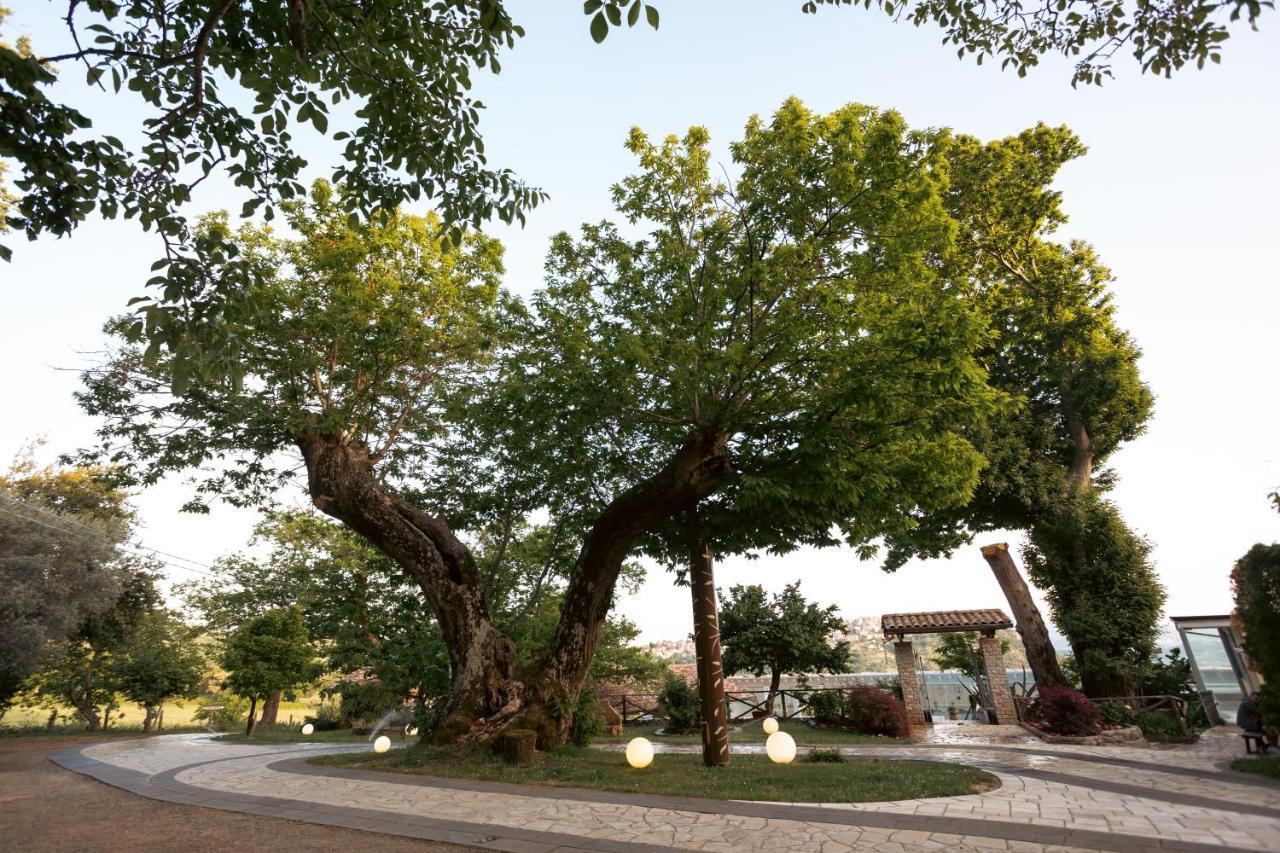 Green Park Bio Agriturismo Guest House Cilento National Park Exterior photo