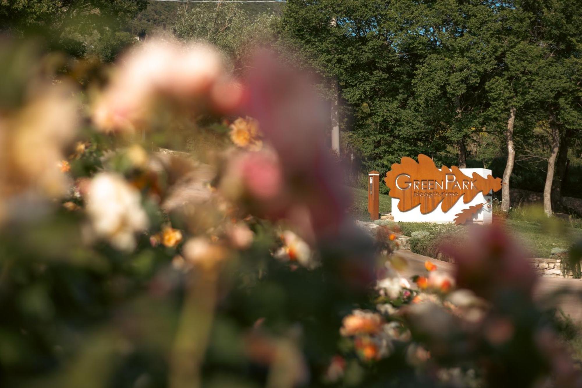 Green Park Bio Agriturismo Guest House Cilento National Park Exterior photo